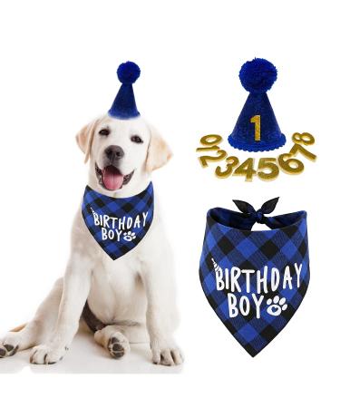 Dog Birthday Party Supplies, Boy Dog Birthday Bandana Scarf and Dog Birthday Hat with Number.
