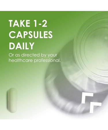 Green Tea Extract Capsules 500mg Standardized EGCG - 3X Strength for Natural Energy - Heart Support with Polyphenols - 120 Veggies Capsules - Buy Online on GoSupps.com