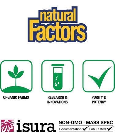 Natural Factors Lactase Enzyme 9000 FCC ALU - 60 Capsules for Digestive Health - Buy Online on GoSupps.com