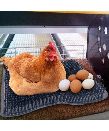 Hamiledyi Chicken Nesting Pads  Hen Nest Mats Washable  Chicken Nesting Box Plastic Liners  Reusable Egg Laying Mats for Chicken Coop Poultry Nest Boxes Ducks Nesting Pads 6PCS - Buy Online on GoSupps.com