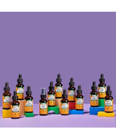 Herb Pharm Kids Certified-Organic Alcohol-Free Cough Crusader Liquid Herbal Formula 4 Ounce - Buy Online on GoSupps.com