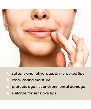 Organic Coconut Breeze Lip Balm 4-Pack | Natural Beeswax Lips Care | Handmade in the USA | Moisturizing Coconut Oil | for Dry & Cracked Lips - Buy Online on GoSupps.com