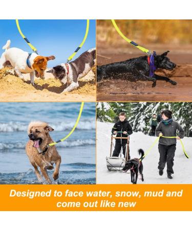 Vivifying Waterproof Dog Leash 20ft Durable PVC Long Line Lead with Soft Handle for Medium Large Dogs Recall Tracking Training Great for Swimming Beach Lake and Yard (6M Yellow) - Buy Online on GoSupps.com
