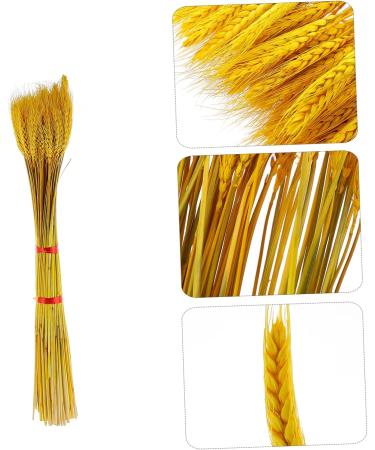 100pcs Dried Wheat Ears Bouquet Dried Flowers Decor Wedding Wheat Ear Floral Arrangement Wheat Ear Wheat Stalk Flowers Wheat Ear Dry Flowers Home Wheat Ear Real Flower Natural Yellow 52X10CM - Buy Online on GoSupps.com