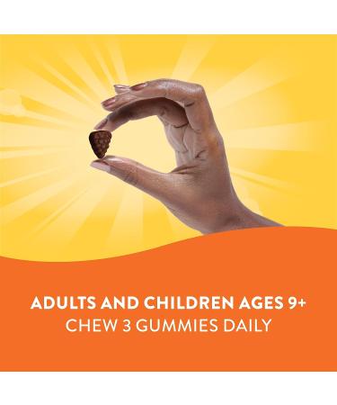 Nature's Way Alive! Premium Adult Gummy Multivitamins - Essential Vitamins & Minerals - Vegetarian - Grape & Cherry Flavored - 90 Gummies - Buy Online on GoSupps.com