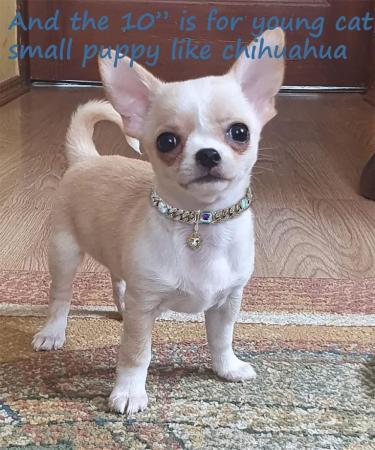 Glitter King Silver Cat Collar Puppy Zircon Cuban Link Chain Handmade Giamond Heart Pendant Pet Jewelry S(10.1") Silver - Buy Online on GoSupps.com