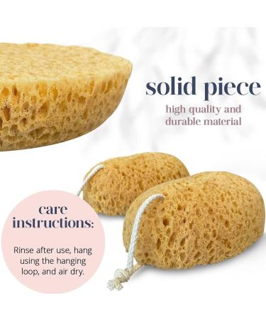 2-Piece Peeling Shower Sponge Set | Gentle Exfoliation for Soft Smooth Skin | Ideal for Sensitive Skin - Buy Online on GoSupps.com