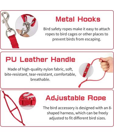 Felenny Bird Dishes & Adjustable Leash - Essential Outdoor Accessories for Scarlet Red Ara Sun Conure & Nymphensittich - Small Anti-Bite Solutions - Buy Online on GoSupps.com