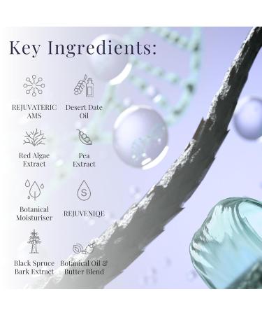 MONAT Smoothing Anti Frizz System | Professional Frizz Control Shampoo Conditioner & Styling Spray for Smooth Frizz-Resistant Hair Worldwide Shipping Available - Buy Online on GoSupps.com