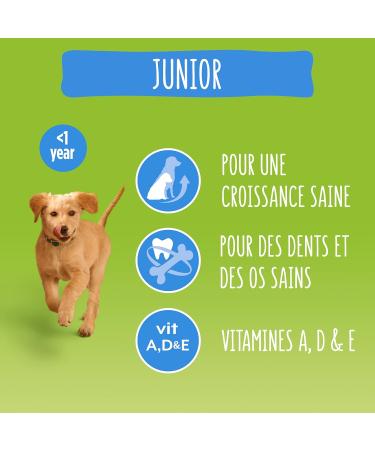 Purina Friskies Junior Chicken Puppy Food 10kg - Buy Online on GoSupps.com