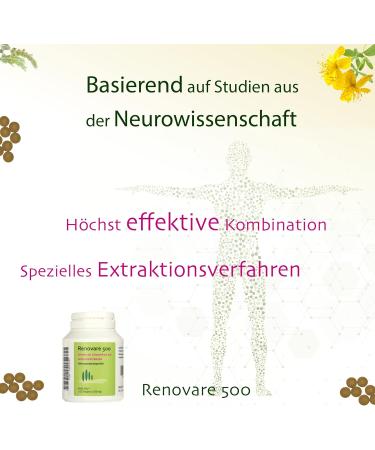 Renovare 500 - Premium International Shipping | Enhance Your Wellness Today - Buy Online on GoSupps.com