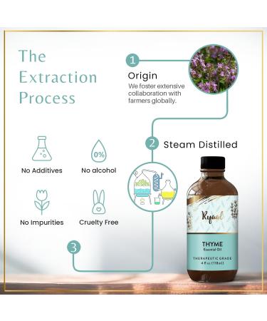 Thyme Essential Oil for Diffuser & Aromatherapy | Natural Undiluted Therapeutic Oil for Skin | Premium Grade 4 Fl Oz with Glass Dropper - Buy Online on GoSupps.com
