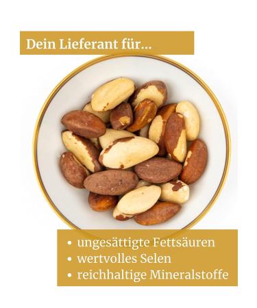 Organic Brazil Nuts 500g | Premium Freshly Filled Natural Nuts from Jalall D'or | International Shipping - Buy Online on GoSupps.com