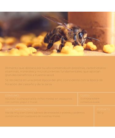 Er a de Valles Pollen de fleurs 100% naturel des Asturies Teneur lev e en prot ines et vitamines Cru non transform Id al pour les petits d jeuners salades et desserts 180 g - Buy Online on GoSupps.com