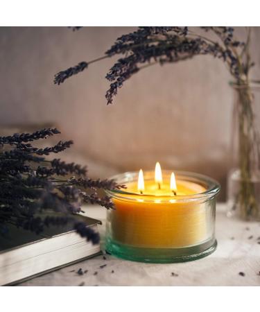 Buy Bluecorn Botanica Beeswax Candle - 3-Wick Pure Beeswax & Vanilla Scented Candle | International Shipping Available - Buy Online on GoSupps.com