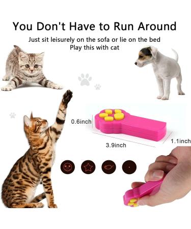 Anjing 2 Pack Paw Style Dog Cat Catch The Interactive Toy Exercise Chaser Toy Pet Scratching Training Tool - Buy Online on GoSupps.com
