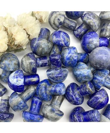 Natural Crystal Rough Home Decoration Natural Blue Lapis Lazuli Crystal Mushroom Shaped Polished QuartzStones Specimen Home Decoration Crystals Stones PEIQIYIN (Size : 1pc) - Buy Online on GoSupps.com