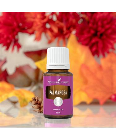Young Living Palmarosa Essential Oil 15ml | Aromatherapy for Healthy Skin & Tranquil Atmosphere | Rejuvenating Diffusion Blends - Buy Online on GoSupps.com