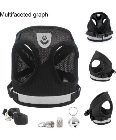 Buy Bojly Cat Dishes with Leash | Outbreak-Proof Safety Harness & Anti-Lost Bell for Dogs & Cats - Buy Online on GoSupps.com