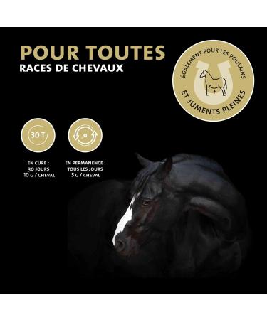 Peticare Cough Powder for Horses | Airways & Colds Support | Promotes Mucus Dissolution | Natural Herbal Powder Formula | No - Buy Online on GoSupps.com