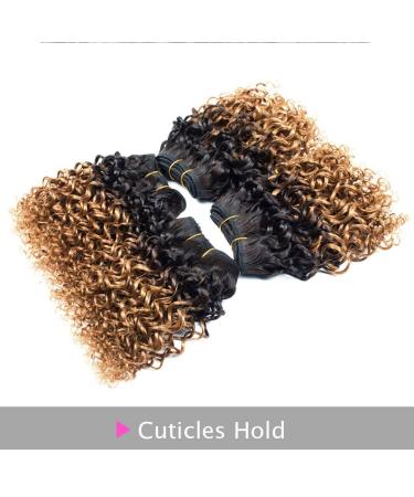 Kinky Curly Brazilian Virgin Human Hair Bundles - Ombre Short Curly Hair Extensions - 8 Inch (Pack of 4) 1B/30 - Buy Online on GoSupps.com