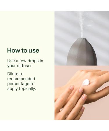 Buy Plant Therapy Eucalyptus Globulus Essential Oil 100 mL - 100% Pure Undiluted Ideal for Diffuser Skin Hair Aromatherapy and Clear Breathing - Buy Online on GoSupps.com