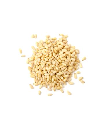 Pine Nuts 500g | Premium Quality Unsalted & Peeled | 100% Natural & Preservative-Free | Vitalesia - Buy Online on GoSupps.com