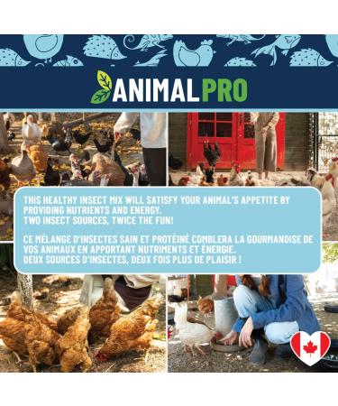 AnimalPro Mealworms and Crickets 227 g - 0 5 LB - Buy Online on GoSupps.com