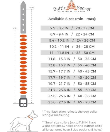 Buy Baltic Secret Dog & Cat Neck Band - Adjustable Amber Flea Tank Bands | Natural Treatment & Perfect Gift for Animal Lovers - Buy Online on GoSupps.com