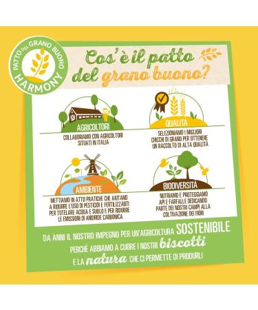 Saiwa Gold | Saiwa Gold Dark Wheat | Gold Saiwa Biscuit | Gold Saiwa Biscuits | 300 Grams Total - Buy Online on GoSupps.com