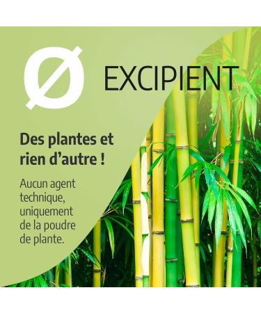 Bamboo Tabachir 250mg - 200 capsules - Buy Online on GoSupps.com