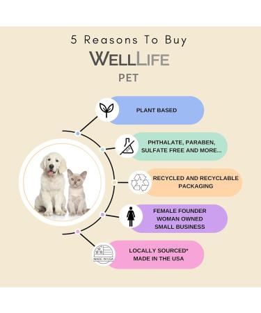 Non-Toxic Pet Stain Remover & Odor Eliminator - Citrus Fresh Plant-Based Urine Cleaner for Dogs & Cats - 16 oz - Buy Online on GoSupps.com