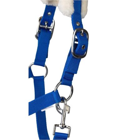 Buy RL24 Halter with Plush Padding - BASICLINE in 6 Colors | Shetland Pony Thoroughbred Warmblood - Royal Blue for Warmbloods | Shop Internationally - Buy Online on GoSupps.com