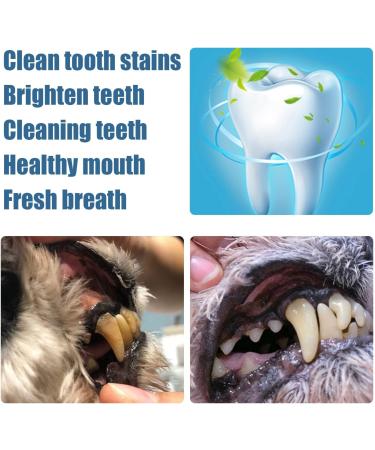 2Pack Pets Dog Teeth Cleaning Pen Teeth Cleaning Pen Dogs Cats Natural Remover Tool Plaque Remover Natural Plants Teeth Repairing and Fresh Breath - Buy Online on GoSupps.com