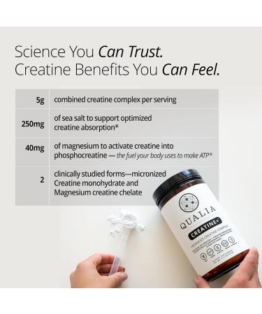 Qualia Creatine | Advanced Creatine Complex | 2 Creatine Sources + Magnesium | Optimized Creatine Absorption | Muscle Performance Brain Function & Healthy Aging - Buy Online on GoSupps.com