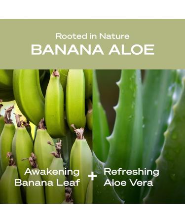 Hey Humans Banana Aloe Vegan Deodorant | Coconut Oil & Shea Butter | Aluminum-Free, All Day Odor Protection | Earth-Friendly 2 oz - Pack of 3 - Buy Online on GoSupps.com