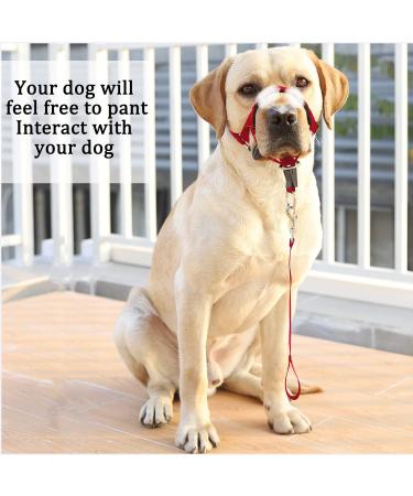 Buy Barkless Dog Handlebars - No Pull Adjustable Padded Halter with Training Guide for Medium Dogs - Red - Buy Online on GoSupps.com