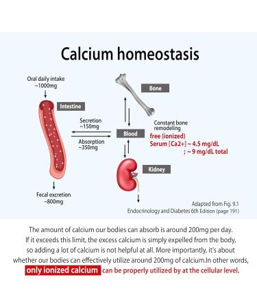 Dr G's Amazing Ionized Cal Mag - Bone Health Calcium Magnesium Powder Supplement - 60 Sticks x 3 Packs for 6 Months (180 Count) 5.29 Ounce (Pack of 3) - Buy Online on GoSupps.com