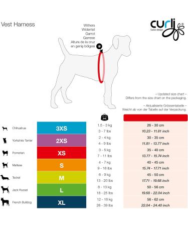 Shop Curli D-Ring Buckle Vest Harness L | Premium Mandarin Dog Harness for International Shipping - Buy Online on GoSupps.com