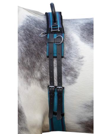 HKM Lunging Girth Canvas with Double Handle (Pony Navy/Sky Blue) navy/sky blue Pony