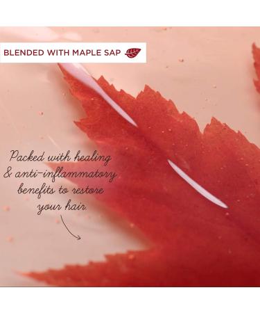 Garnier Whole Blends Castor Oil Remedy Leave In Balm 200 Milliliters - Buy Online on GoSupps.com
