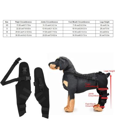 BORDSTRACT Dog Leg Braces for Hind Leg Adjustable Dog Knee Brace for Cruciate Ligament Injury Protecting Wounds Surgery Healing Arthritis Joint Pain and Muscle Sore HJ25 M - Buy Online on GoSupps.com
