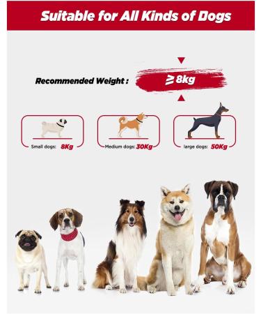 Heelay Hands Free Dog Leash - 8.2ft Multifunctional Crossbody Rope for Small, Medium & Large Dogs - Walking, Jogging, Running - Black - Buy Online on GoSupps.com
