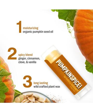 Hurraw! Pumpkin Spice Lip Balm Organic Vegan & Cruelty-Free | 100% Natural | Non-GMO | Made in USA - Buy Online on GoSupps.com