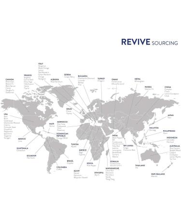 Vanilla Essential Oil by Revive - 100% Pure Therapeutic Grade for Diffuser Aromatherapy Massage & Skin Care - International Shipping - Buy Online on GoSupps.com