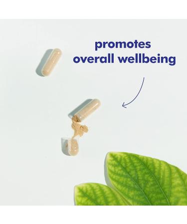 Santo Remedio Ginseng for Energy and Immune Support Dietary Supplement 200 mg 90 Capsules - Buy Online on GoSupps.com