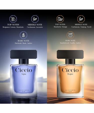 C_iccio Exquisite Aqua n Rouge Premium Long Lasting Luxury Fragrance Eau De Perfume Spray For Men_50ML X Combo Pack of 2 - Buy Online on GoSupps.com