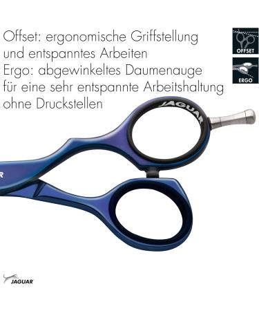 JAGUAR Diamond E TB 5.5 Inch Hairdressing Scissors Offset Design Anti Allergy High Gloss Coating - Titanium Blue - Buy Online on GoSupps.com