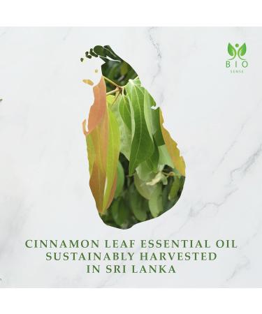 Bio Sense Cinnamon Leaf Essential Oil | 118 ml | 100% Pure & Organic Cinnamon Leaf Essential Oil | Use for Diffuser and Household| 4 fl oz. - Buy Online on GoSupps.com