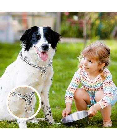 AUAUY Dog Chain Collars Durable Metal Choke Chain for Dog Training Collar Chain Silver Plating No Pull Pet Collar Chain for Pet Outdoor Training Small Medium Large Dogs Diameter 4.0mm Length 65cm Flat P-Chain L-(4.0mm*65cm) - Buy Online on GoSupps.com